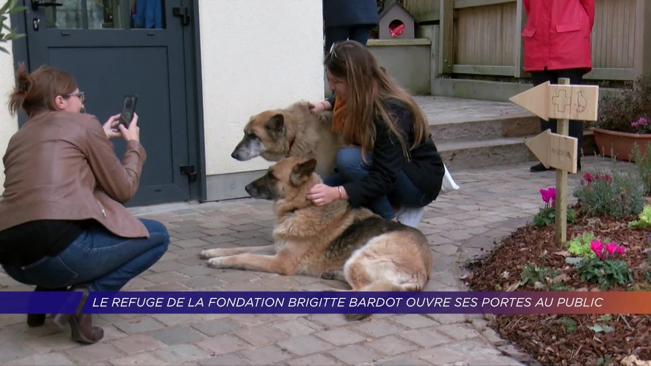 Yvelines | Le refuge de la fondation Brigitte Bardot ouvre ses portes au public