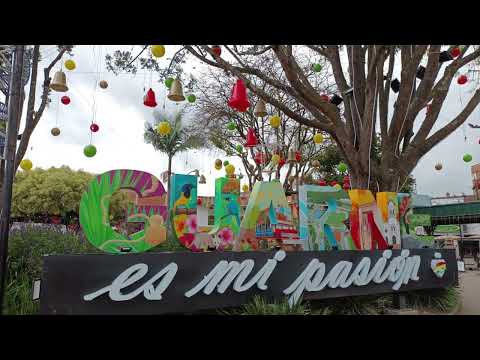 Video realizado por la propiedad