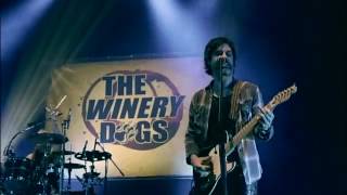 The Winery Dogs   Unleashed in Japan Full DVD 2014