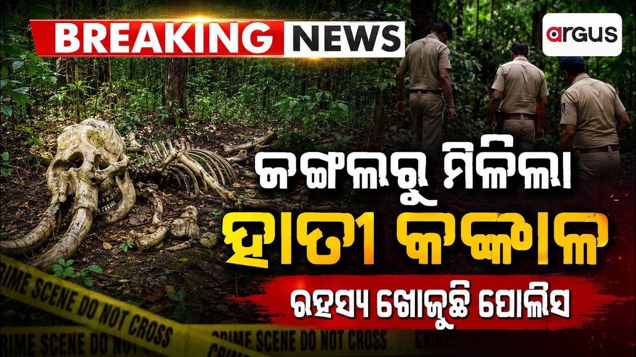 ଜଙ୍ଗଲରୁ ମିଳିଲା କଙ୍କାଳ | Elephant Skeleton Found in Dhenkanal Forest | DFO and Doctors Probe | Odisha