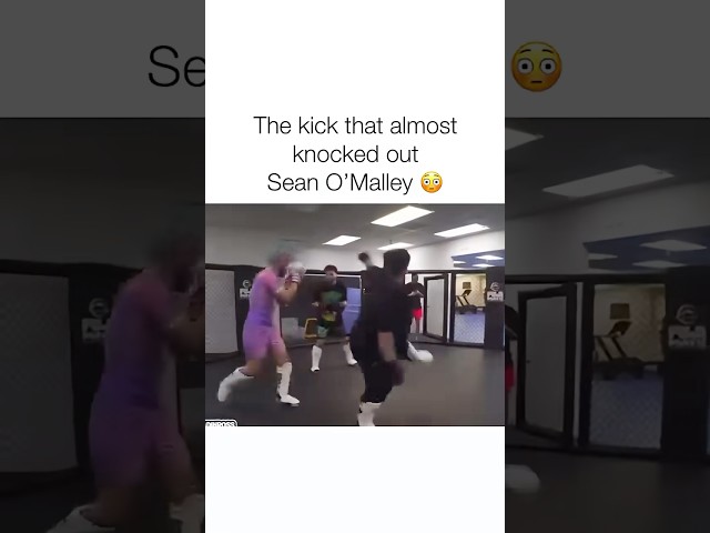 The kick that almost knocked out Sean O’Malley 😳. #ufc #mma #seanomalley #adinross