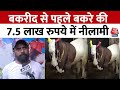 Bakrid 2024: बकरीद से पहले Bhopal में बिका 160 किलो का बकरा, लगी 7.5 लाख रुपये में बोली | Aaj Tak