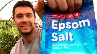 How to use Epsom Salt in the Garden and on Your Potted Plants