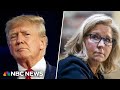Panel: Base Republicans aren’t looking to Liz Cheney for her opinion on Trump