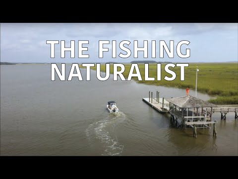 screenshot of youtube video titled Coastal Kingdom | Season 3, Episode 9 – 'The Fishing Naturalist' | Full Episode