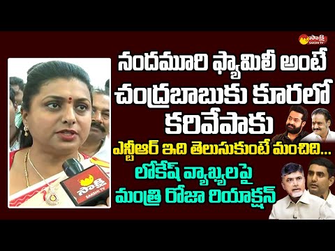 Minister Roja reacts to Jr NTR's political entry