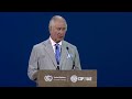King Charles urges rapid environmental repair at COP28
