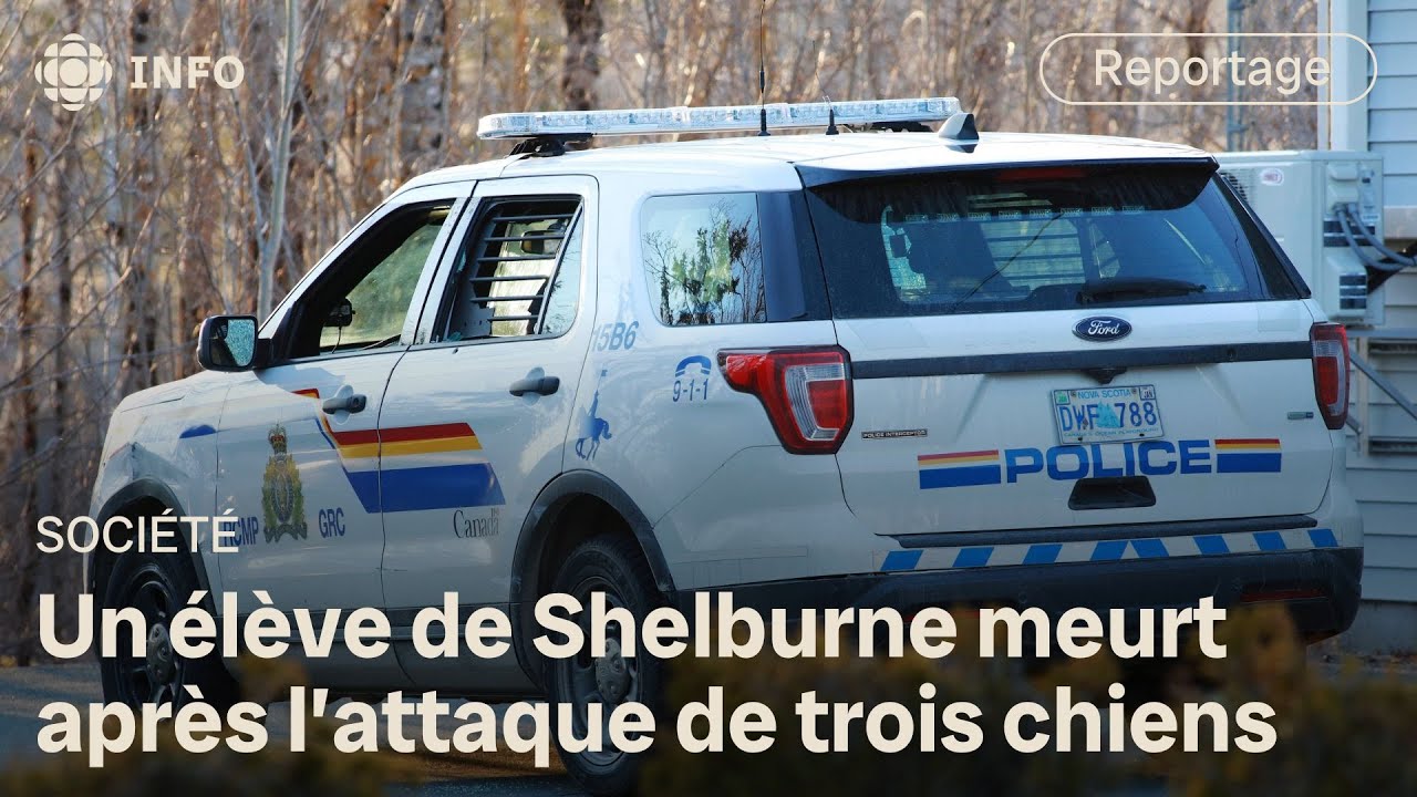 Un adolescent de Shelburne succombe à ses blessures suite à une attaque de trois chiens