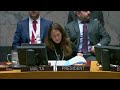 LIVE: UN Security council discusses situation in Gaza  - 00:00 min - News - Video
