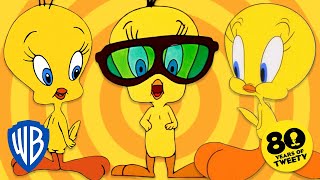 Looney Tunes - Tweety