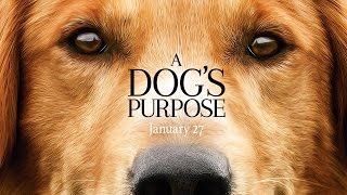 A Dog's Purpose - Official Trail