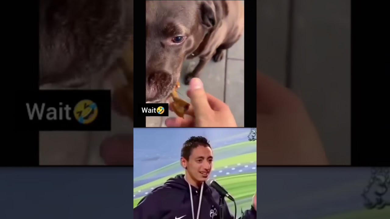 Try not laugh challenge 😂#instagram #instagood #shorts #funny #trendingreels #viral #comedy #reels