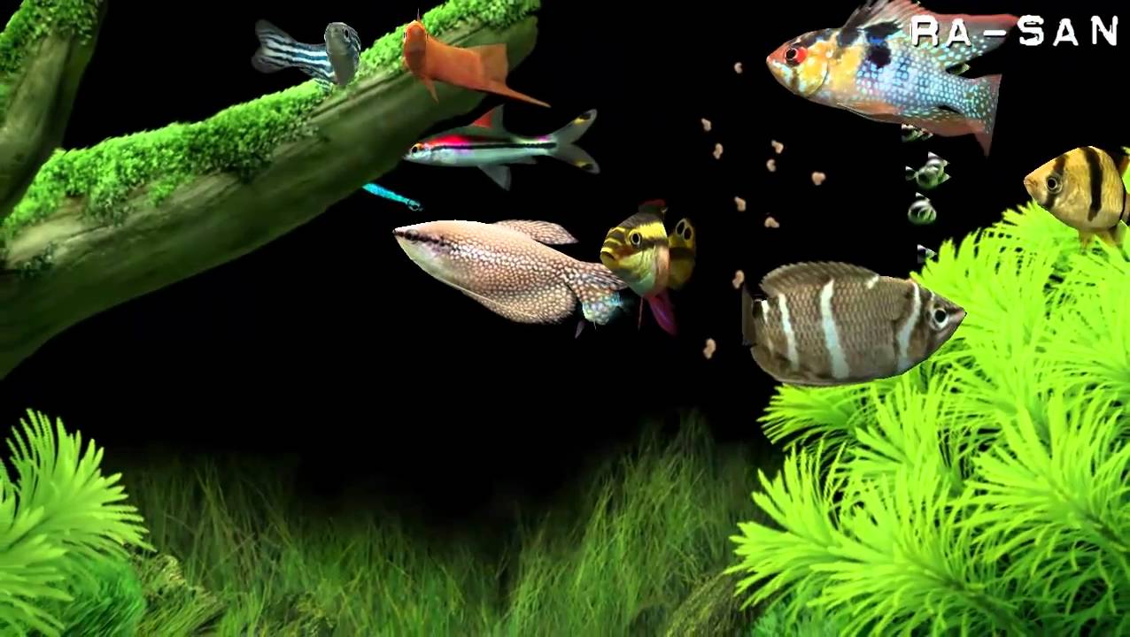 Dream Aquarium screensaver [HD] YouTube