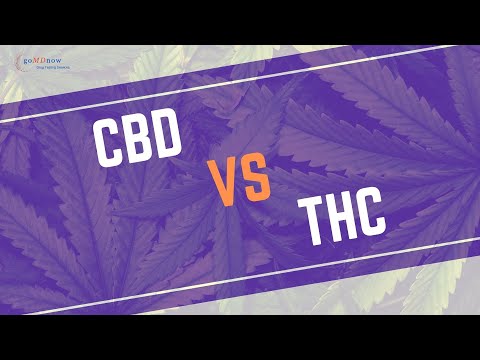 CBD vs THC | The Shocking Truth You NEED to Know