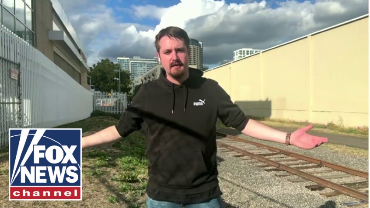 'They threw me in JAIL!': Journalist on 'crazy day' being arrested outside ICE facility