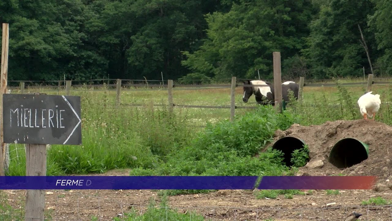 Yvelines | Une journée pour la biodiversité à la ferme des Clos de Bonnelles