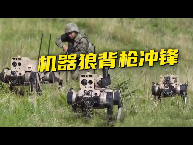 前方高能！解放军首次公开机器狼作战画面：与无人机配合发动进攻！20250715 | 军迷天下