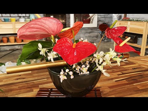 screenshot of youtube video titled Ikebana using Anthuriums, Orchids, and Monstera leaves