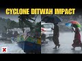Cyclone Ditwah: 3 Dead In Tamil Nadu | Rainfall Likely to Intensify? | NewsX