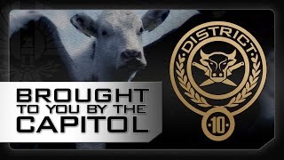 DISTRICT 10 - A Message From The