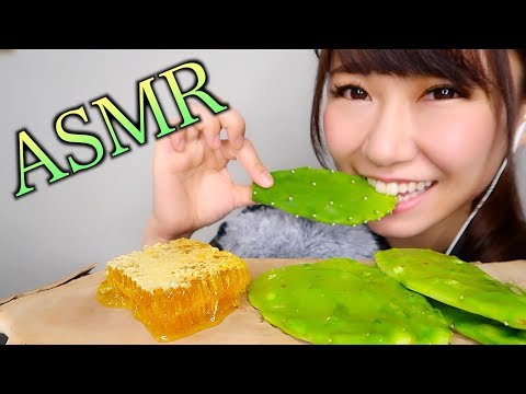 【ASMR】サボテンに蜂蜜のせて食べる音