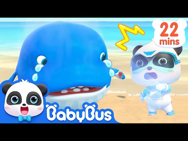 Baby Whale Got Injured | Super Panda Rescue Team | Panda Cartoon | Kids Song | BabyBus