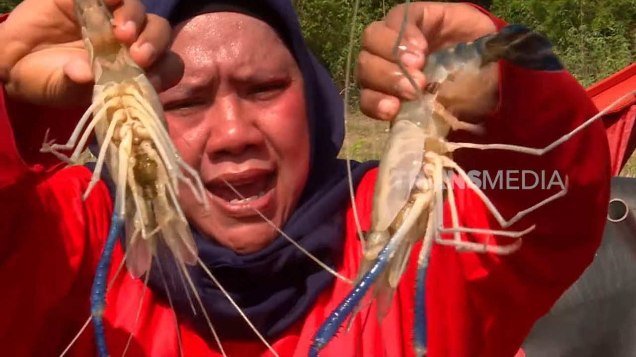 Serunya Emak Enah Menjala Udang Galah dan Masak | ENAH BIKIN ENAK (06/01/25) Part 2