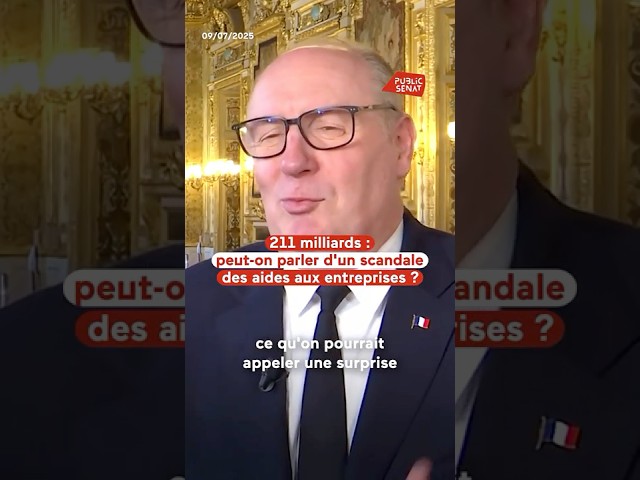 Aide aux entreprises : un scandale à 211 milliards d'euros ?