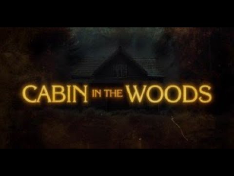 Cabin in the Woods'