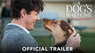 A DOG'S WAY HOME - Official Trai