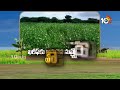 ఖరీఫ్‌కు అనువైన నువ్వు రకాలు యాజమాన్యం | Varieties Sesame Suitable for Kharif Season | Matti Manishi  - 05:12 min - News - Video