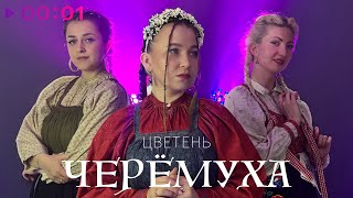 Цветень — Черёмуха | Official Audio | 2025