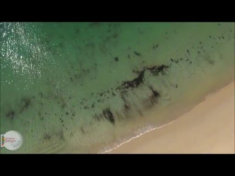 Vidéo de l’hébergement