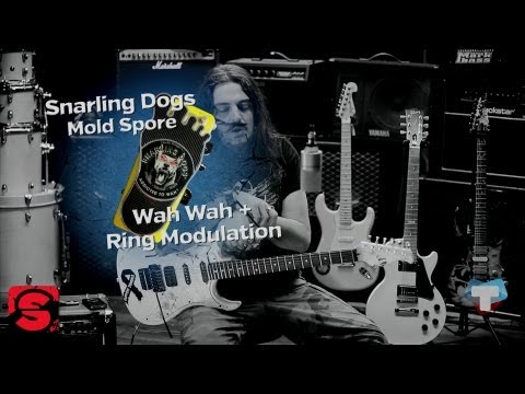 Setup on Fire #14 - Snarling Dogs Mold Spore Wah