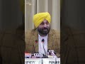 “No alliance with Congress for 2024 Lok Sabha polls…” Punjab CM Bhagwant Mann #shorts | News9
