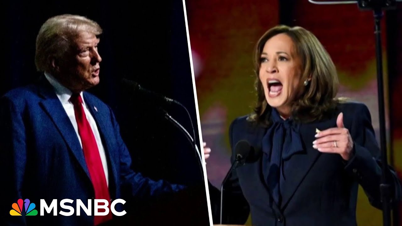 'Dangerous, divisive, terrifying': Harris to highlight dangers of a 'Trump 2.0 presidency'