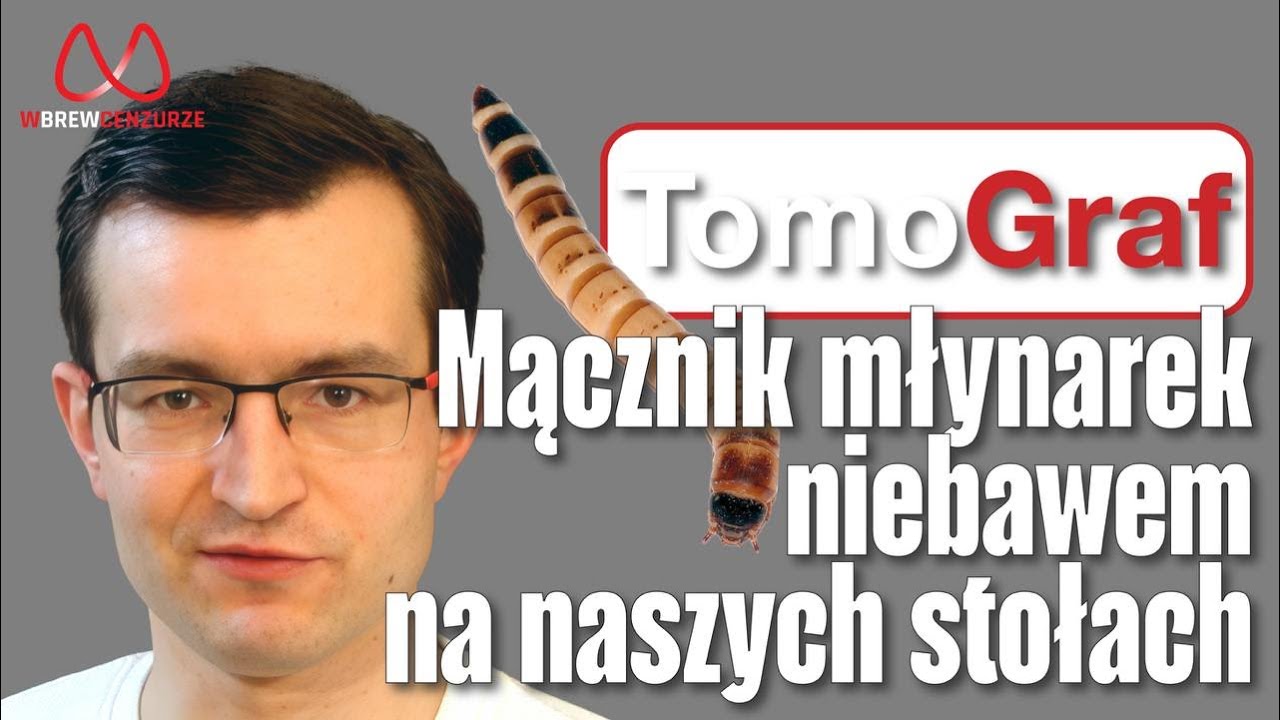 Mącznik młynarek niebawem na naszych stołach