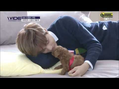 EXO Kai with a cute puppy ㅠ♡ㅠ