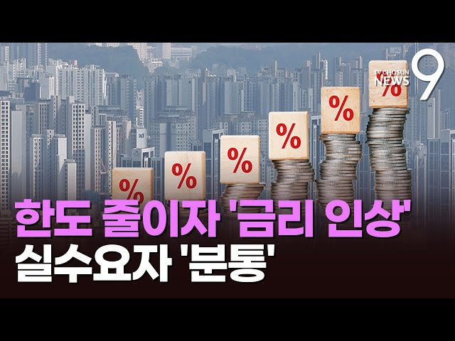 은행들, 대출규제 틈타 대출금리 인상…실수요자 '분통' [뉴스9]