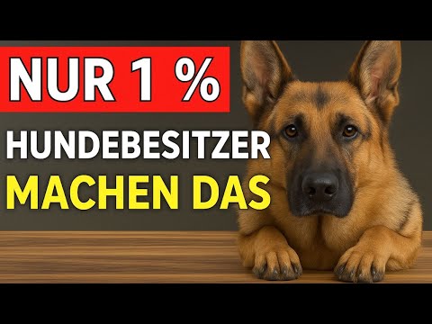 10 THINGS MALES LOVE – AND THAT ONLY 1% OF DOG OWNERS ACTUALLY DO! Curiosity about dogs!