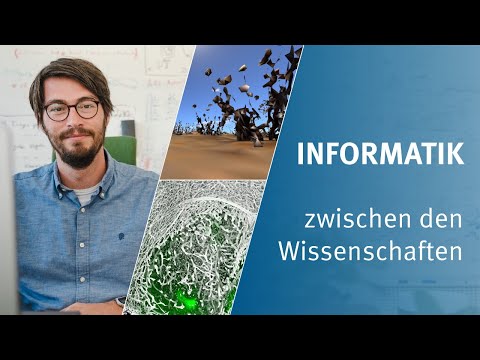 Informatik zwischen den Wissenschaften: Benjamin Risse über Ameisen, medizinische Bilder, Mathematik