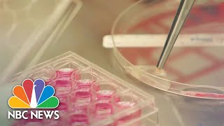 New Treatment Could Help Melanoma Patients