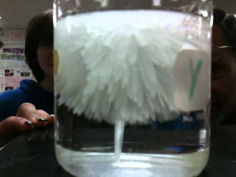 Super Saturated Solutions :0 - YouTube