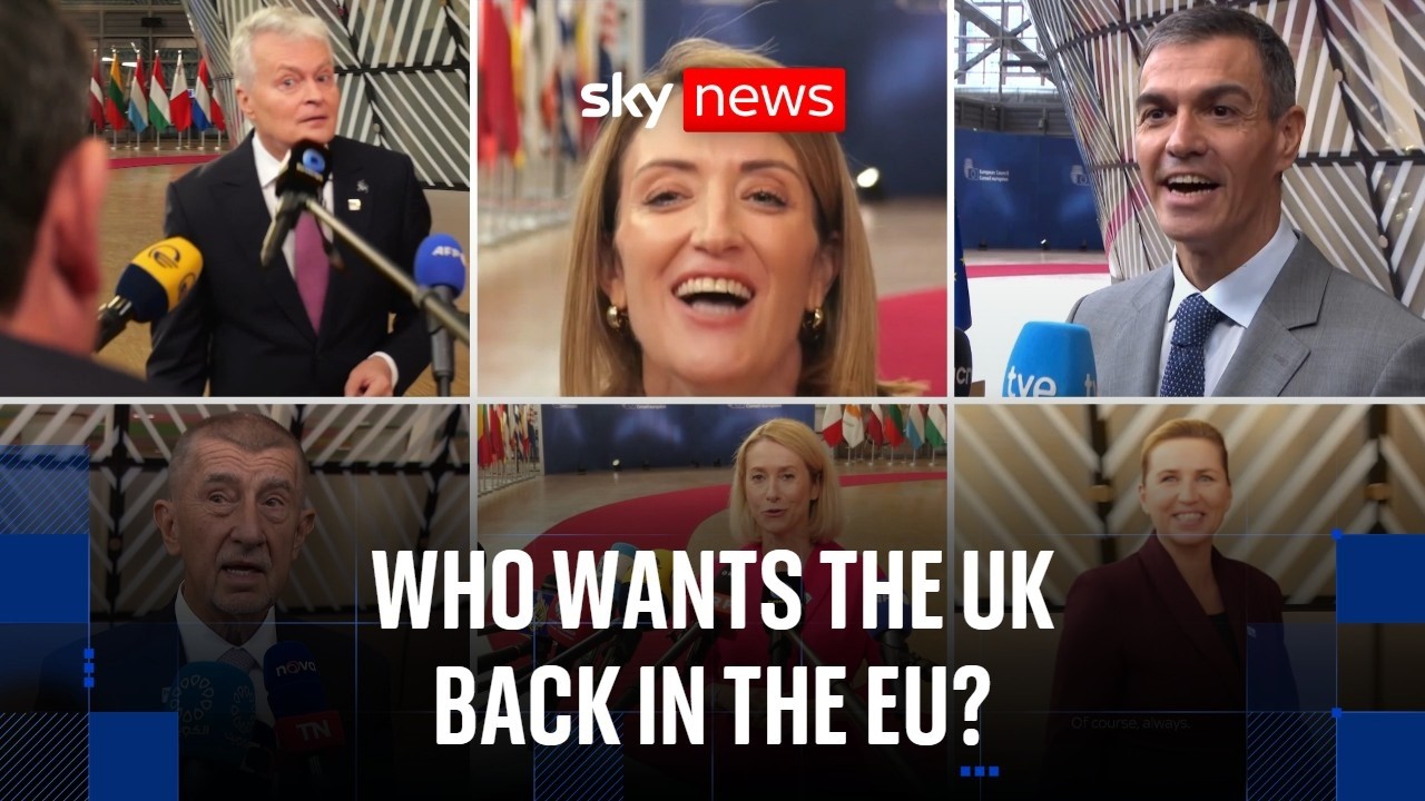 We asked European ministers whether Britain should rejoin the EU... this is what they said