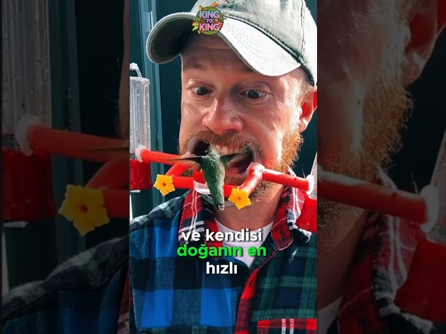 Bu Kuş Dakikalar Sonra Ölebilir🥵😵😟