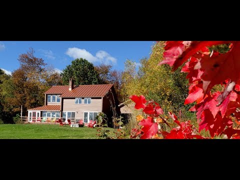 Property video