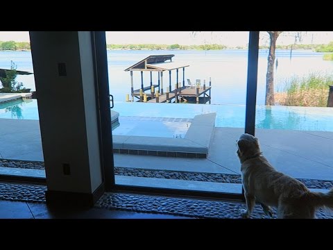 COOPER AND KODA CHECK OUT THEIR NEW HOUSE! (Super Cooper Sunday #53)