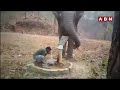 Viral Video: Elephant Uses Hand-Pump || తొండంతో చేతి పంపు కొట్టి మనిషికి దాహం తీర్చిన ఏనుగు || ABN  - 01:30 min - News - Video