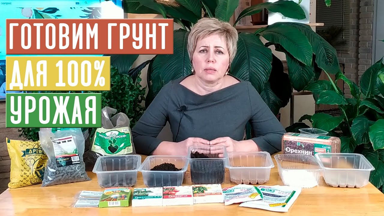 Садовый Гид Интернет Магазин