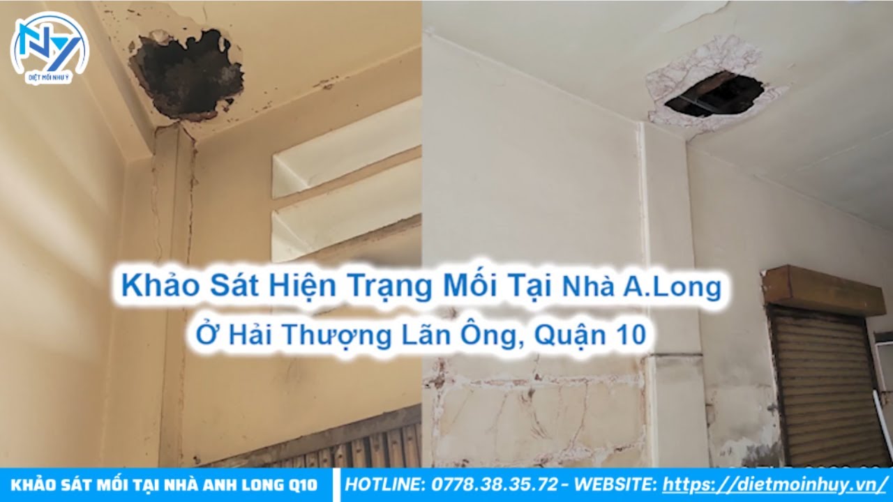 Diệt Mối Như Ý